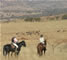 Horse-riding in South Africa 